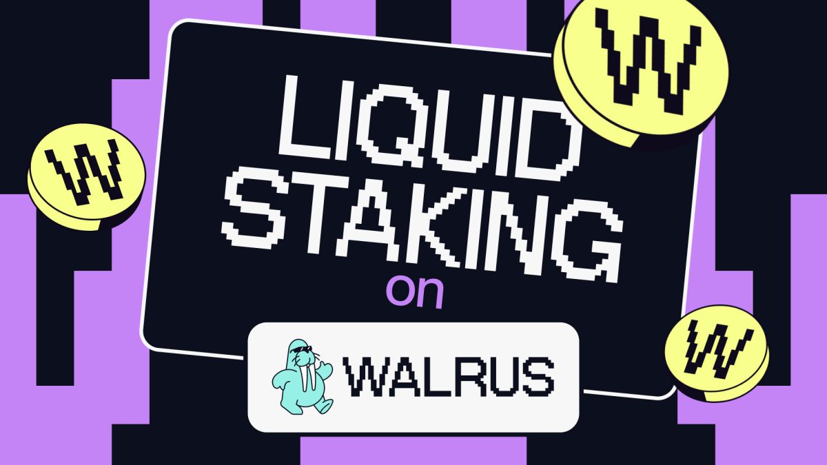 Zark Lab Walrus Explorer - Walruscan